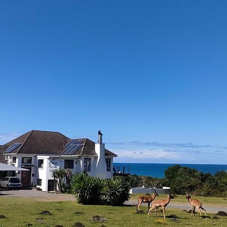Cove View B&B Іст-Лондон Екстер'єр фото