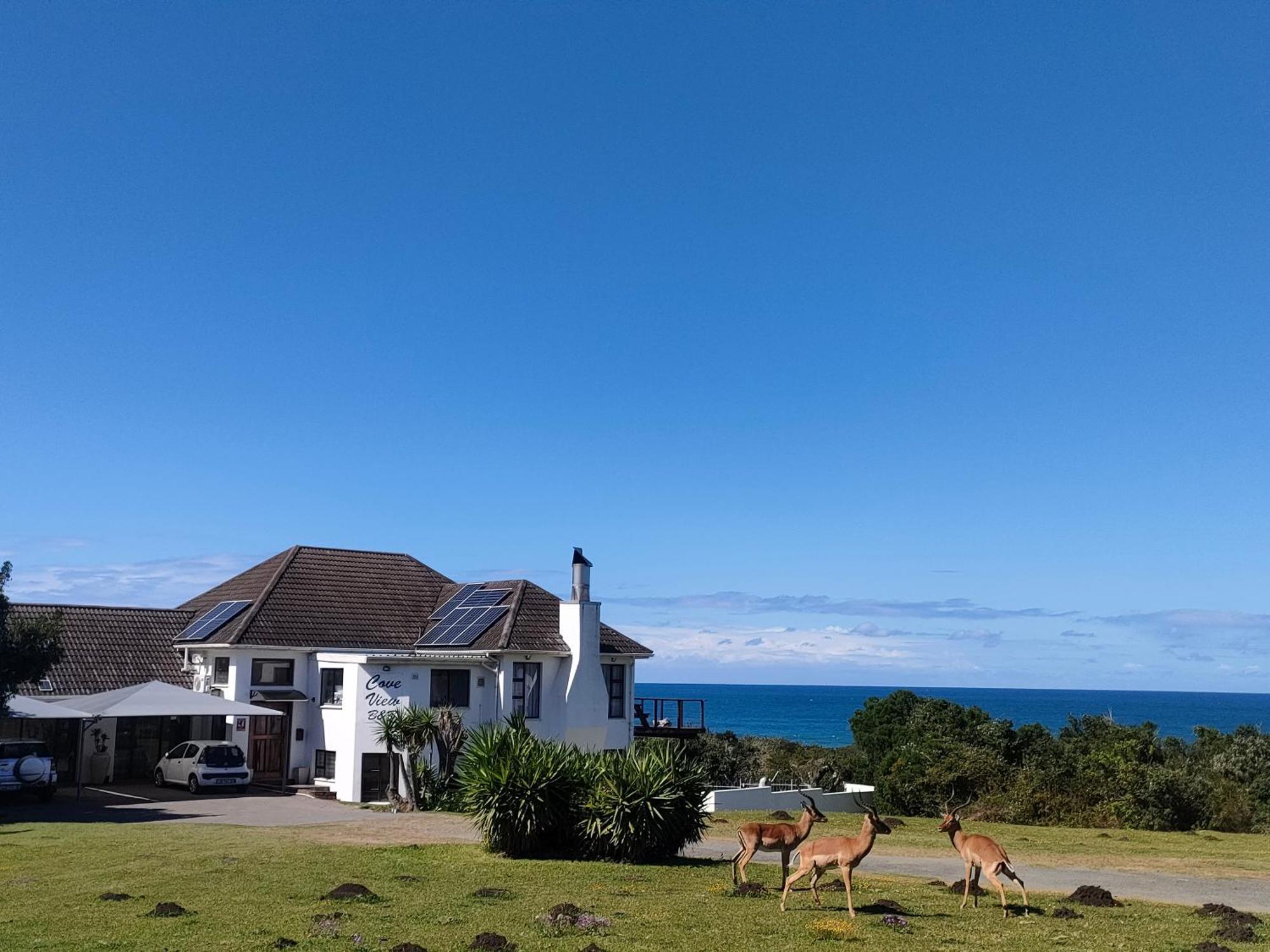 Cove View B&B Іст-Лондон Екстер'єр фото